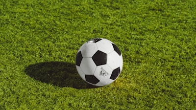 世界杯精彩进球回放集锦 - 球员庆祝进球瞬间