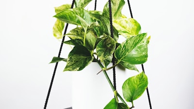 世界杯比赛精彩扑救集锦 - 守门员飞身扑救